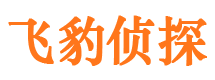 麦盖提寻人公司